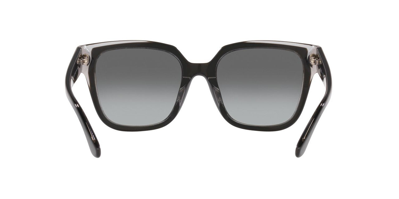 Lentes De Sol Jack Pacific JK6004M Gris/Negro