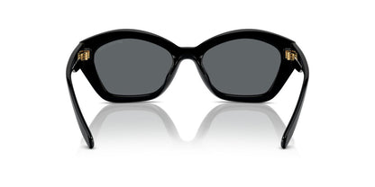 Lentes De Sol Michael Kors MK2209U Gris/Negro