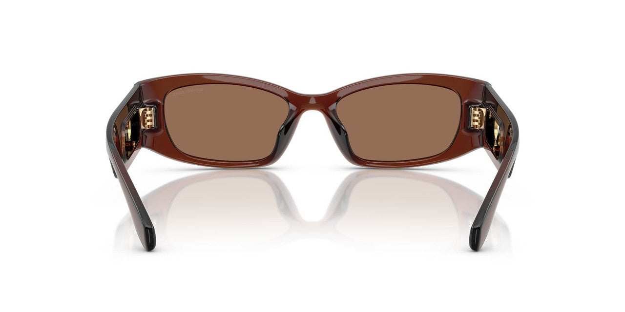 Lentes De Sol Michael Kors MK2243U Rhodes Café/Café