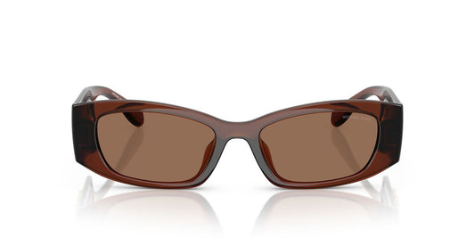 Lentes De Sol Michael Kors MK2243U Rhodes Café/Café