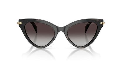 Lentes De Sol Michael Kors MK2259U Gris/Negro