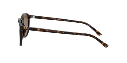 Lentes De Sol Ray-Ban RB2193 Café/Café