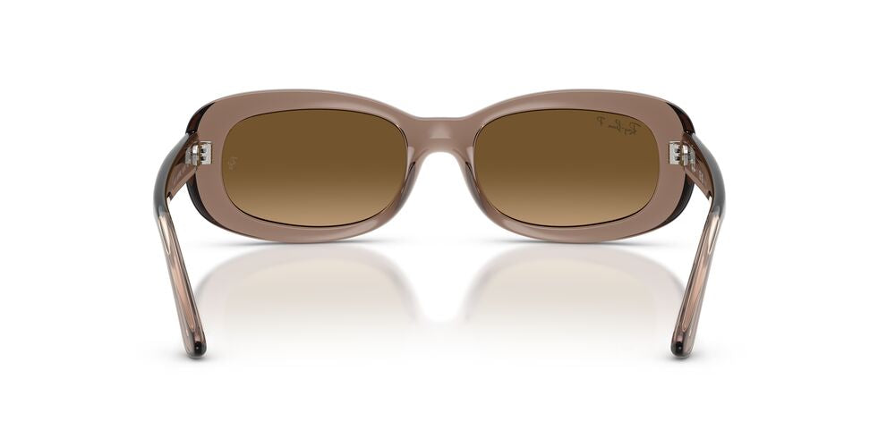 Lentes De Sol Ray-Ban RB2221 Café/Café