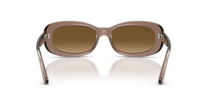 Lentes De Sol Ray-Ban RB2221 Café/Café