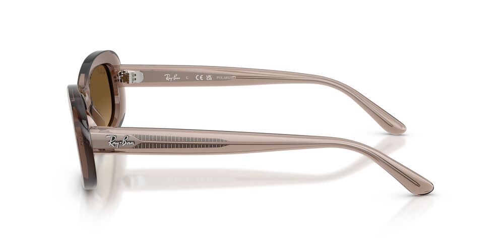 Lentes De Sol Ray-Ban RB2221 Café/Café