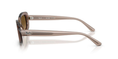 Lentes De Sol Ray-Ban RB2221 Café/Café