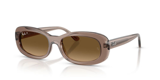 Lentes De Sol Ray-Ban RB2221 Café/Café