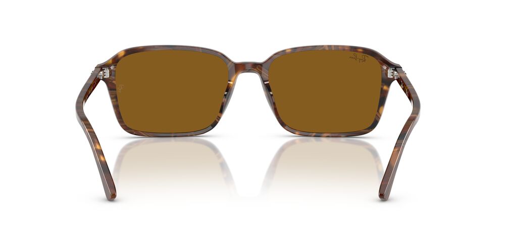 Lentes De Sol Ray-Ban RB2231 Café/Café