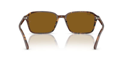 Lentes De Sol Ray-Ban RB2231 Café/Café