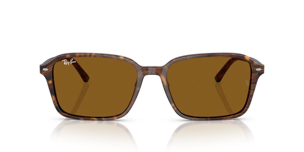 Lentes De Sol Ray-Ban RB2231 Café/Café