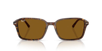 Lentes De Sol Ray-Ban RB2231 Café/Café