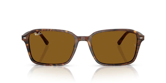 Lentes De Sol Ray-Ban RB2231 Café/Café