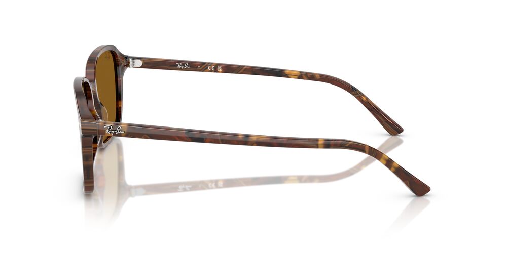 Lentes De Sol Ray-Ban RB2231 Café/Café