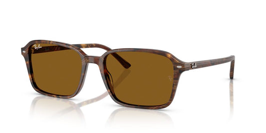 Lentes De Sol Ray-Ban RB2231 Café/Café