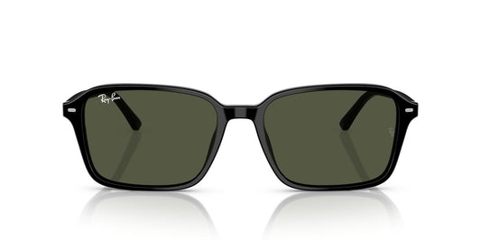 Lentes De Sol Ray-Ban RB2231 Raimond Verde/Negro
