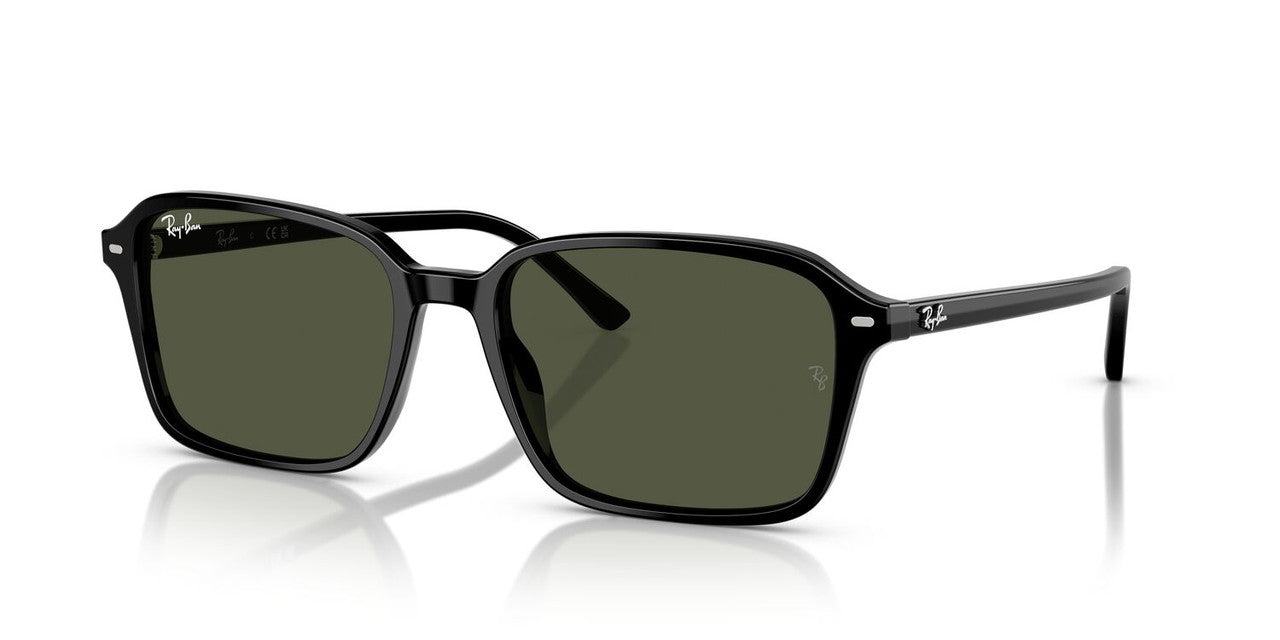 Lentes De Sol Ray-Ban RB2231 Raimond Verde/Negro