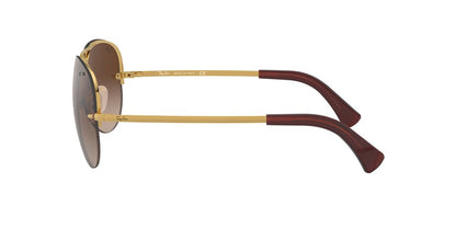 Lentes De Sol Ray-Ban RB3449 Café/Dorado