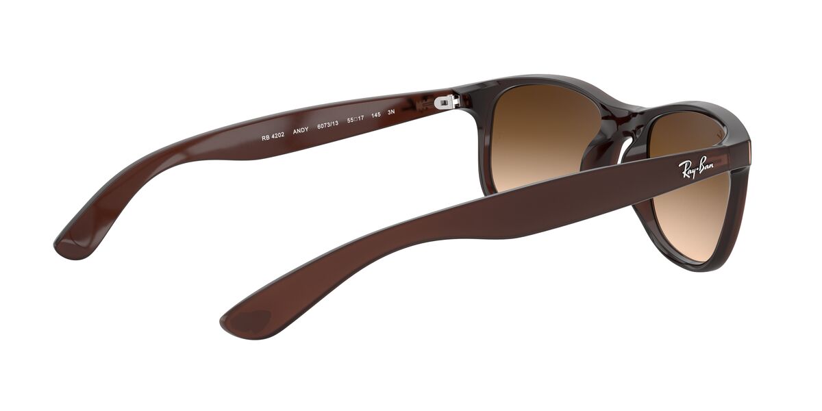 Lentes De Sol Ray-Ban RB4202 Andy Café/Café