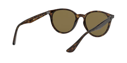 Lentes De Sol Ray-Ban RB4305 Café/Havana