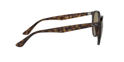 Lentes De Sol Ray-Ban RB4305 Café/Havana