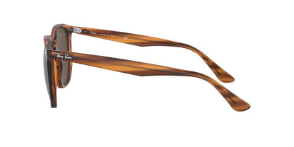 Lentes De Sol Ray-Ban RB4306 Café/Havana