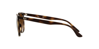 Lentes De Sol Ray-Ban RB4378 Café/Havana