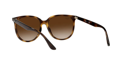 Lentes De Sol Ray-Ban RB4378 Café/Havana