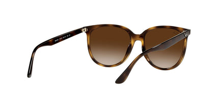 Lentes De Sol Ray-Ban RB4378 Café/Havana