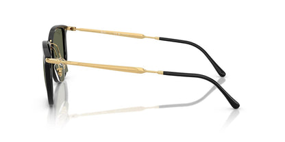 Lentes De Sol Ray-Ban RB4451 Black Polar Green Verde/Negro