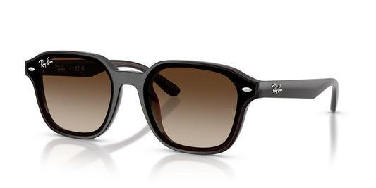 Lentes De Sol Ray-Ban RB4458D Café/Café