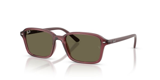 Lentes De Sol Ray-Ban Jr RJ9131S Café/Violeta