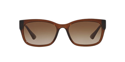 Lentes De Sol Tecnol 0TN4037 Café/Café