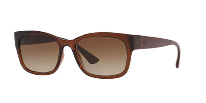 Lentes De Sol Tecnol 0TN4037 Café/Café