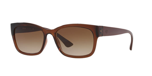 Lentes De Sol Tecnol 0TN4037 Café/Café