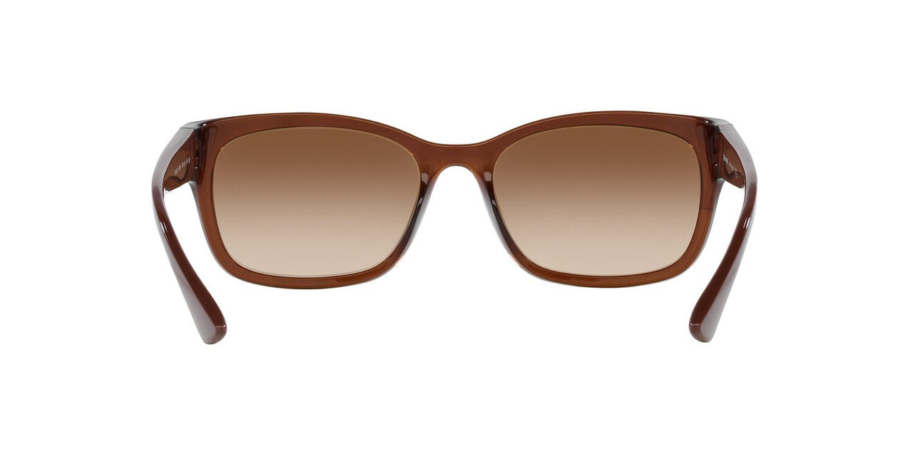 Lentes De Sol Tecnol 0TN4037 Café/Café