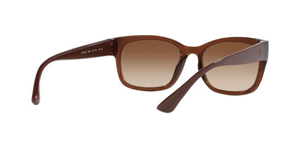 Lentes De Sol Tecnol 0TN4037 Café/Café