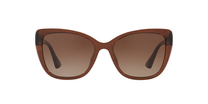Lentes De Sol Tecnol 0TN4039U Café/Café