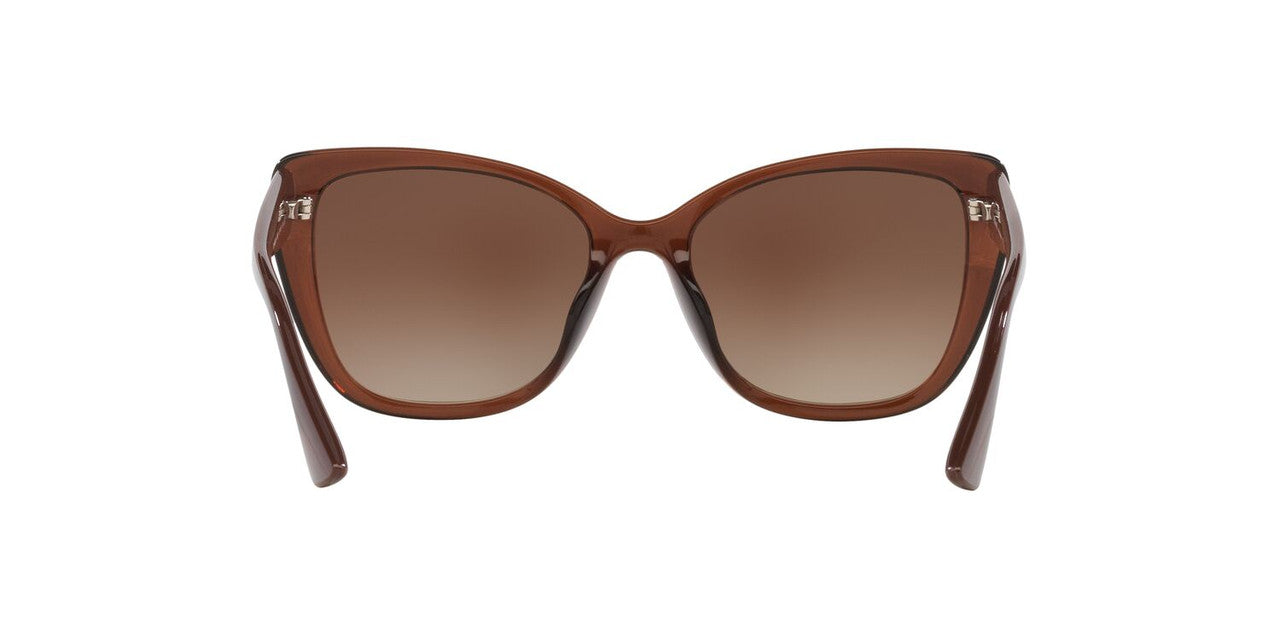 Lentes De Sol Tecnol 0TN4039U Café/Café