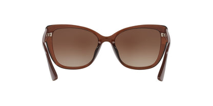 Lentes De Sol Tecnol 0TN4039U Café/Café
