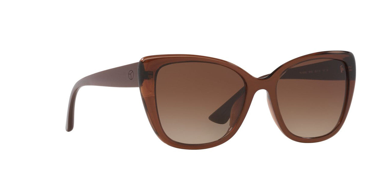 Lentes De Sol Tecnol 0TN4039U Café/Café