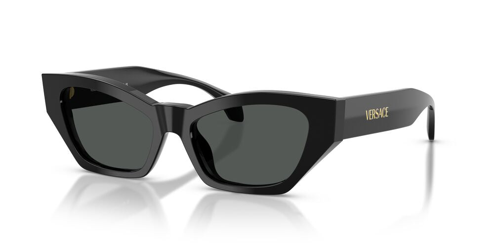 Lentes De Sol Versace VE4488U Black Dark Grey Gris/Negro