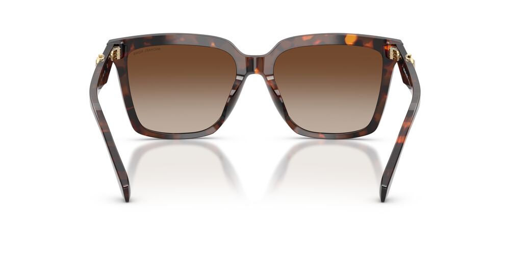 Lentes De Sol Michael Kors MK2256U Café/Café