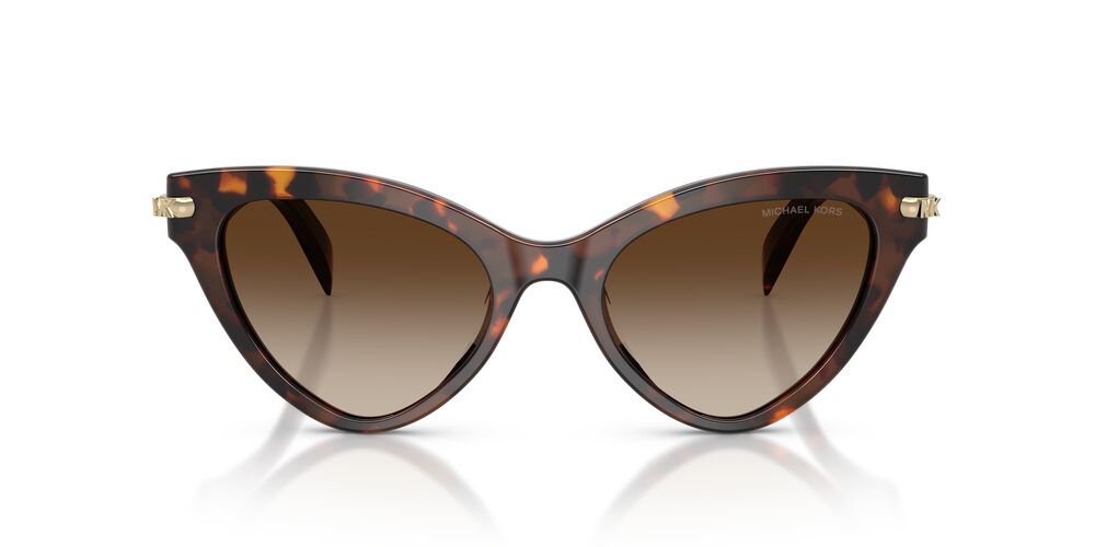 Lentes De Sol Michael Kors MK2259U Gris/Café