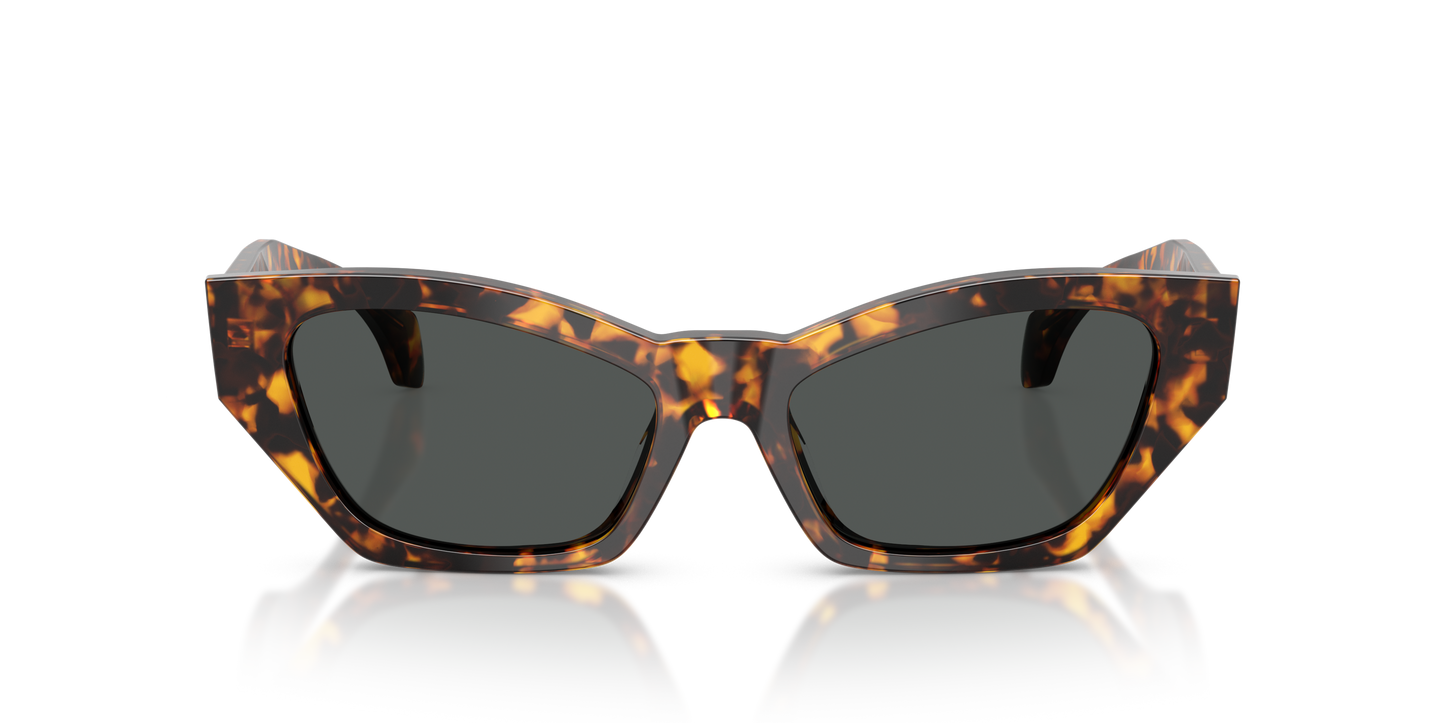 Lentes De Sol Versace VE4488U Gris/Havana