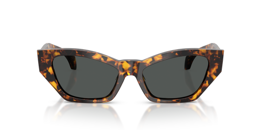 Lentes De Sol Versace VE4488U Gris/Havana