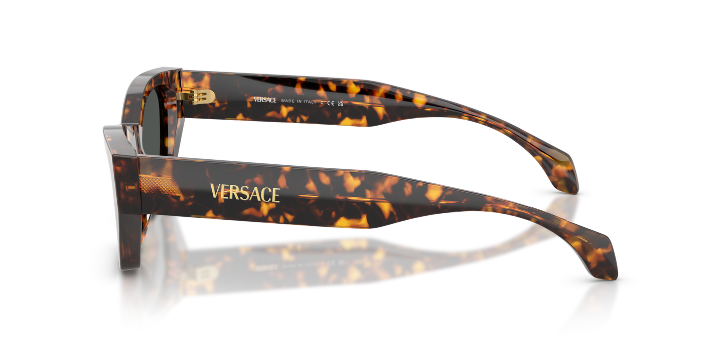 Lentes De Sol Versace VE4488U Gris/Havana