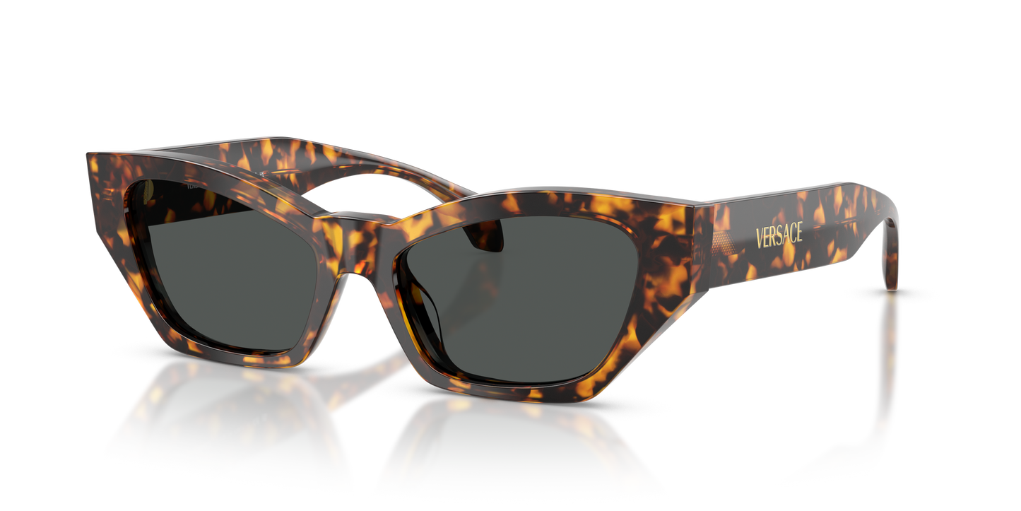 Lentes De Sol Versace VE4488U Gris/Havana