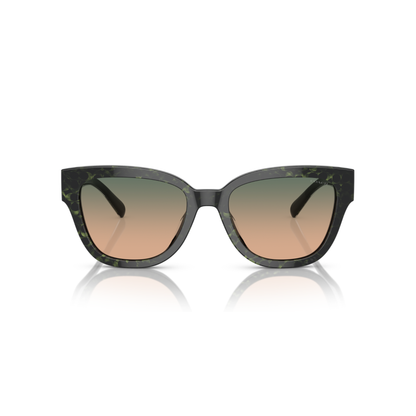 Lentes De Sol Ray-Ban HC8379U Verde/Verde