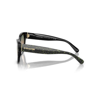 Lentes De Sol Ray-Ban HC8379U Verde/Verde