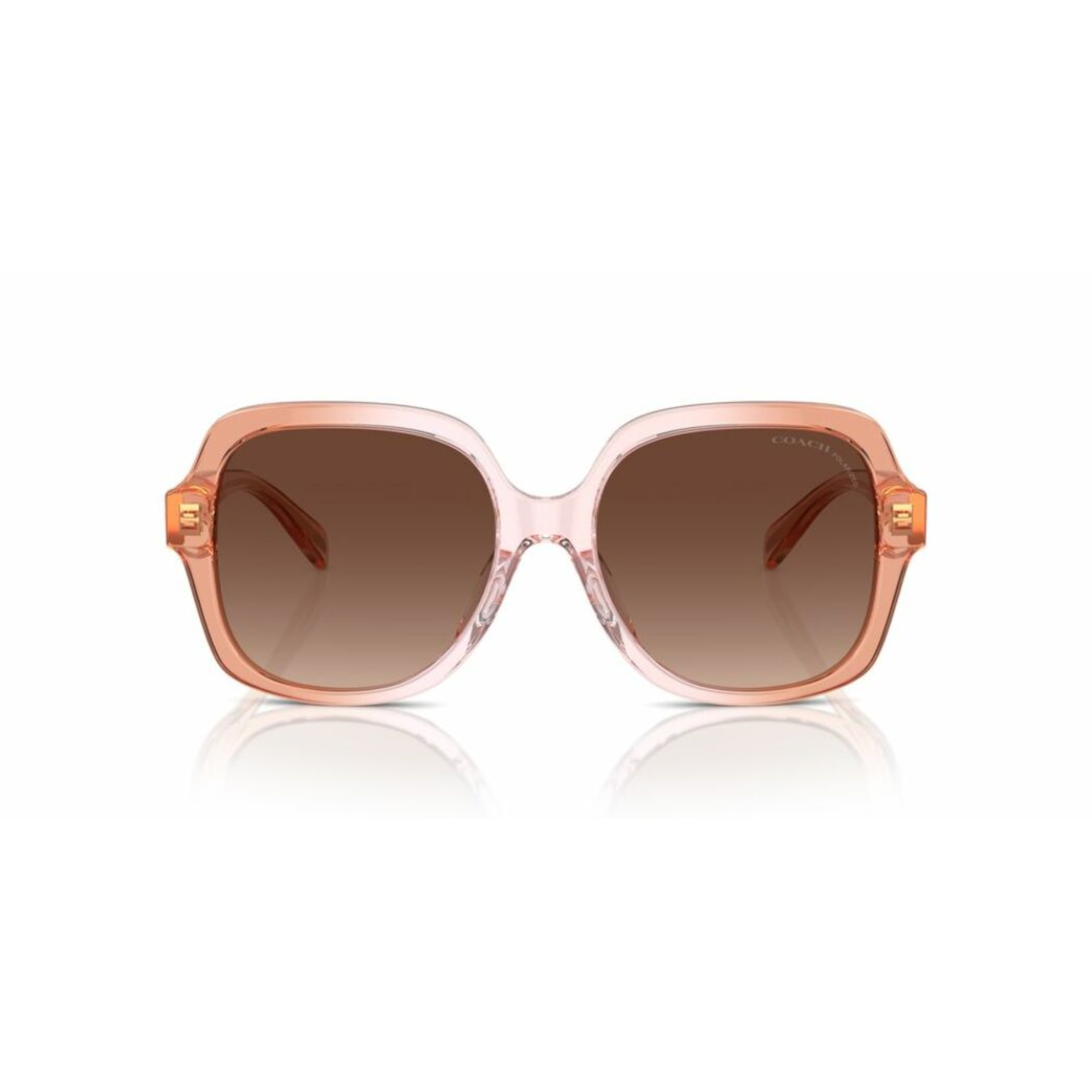 Lentes De Sol Coach HC8395U Café/Rosa